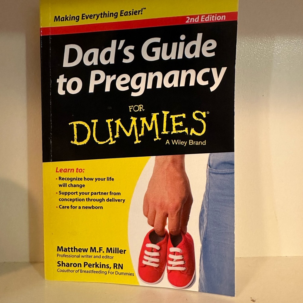 Dads guide to pregnancy for dummies book